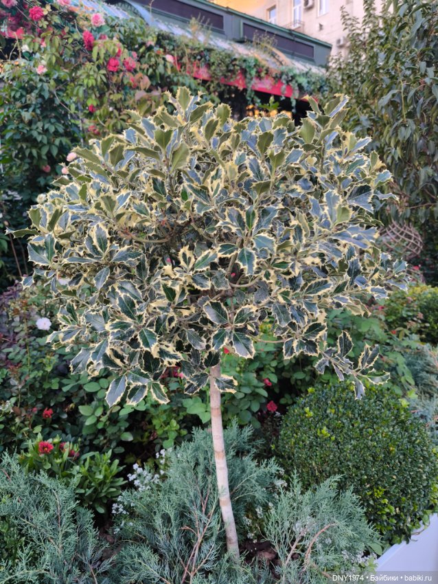 Варя гуляет по Москве — Куклы Milim Studio (Милим): российские БЖД