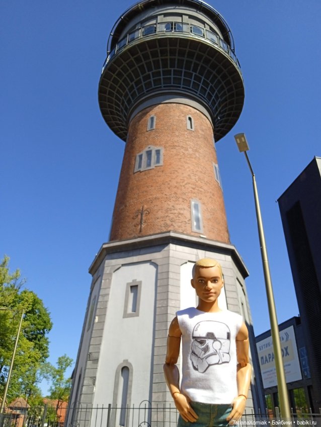 Зеленоградские коты — Туризм и путешествия: фотоотчеты из поездок