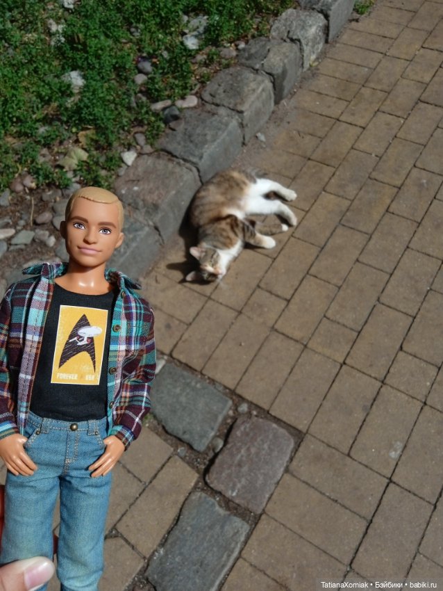 Зеленоградские коты — Туризм и путешествия: фотоотчеты из поездок (фото 8)