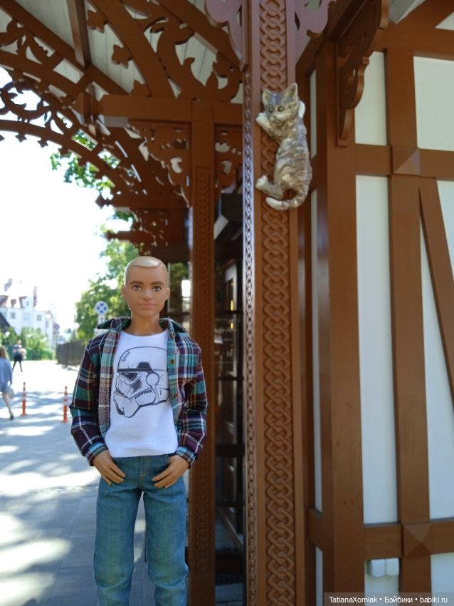 Зеленоградские коты — Туризм и путешествия: фотоотчеты из поездок