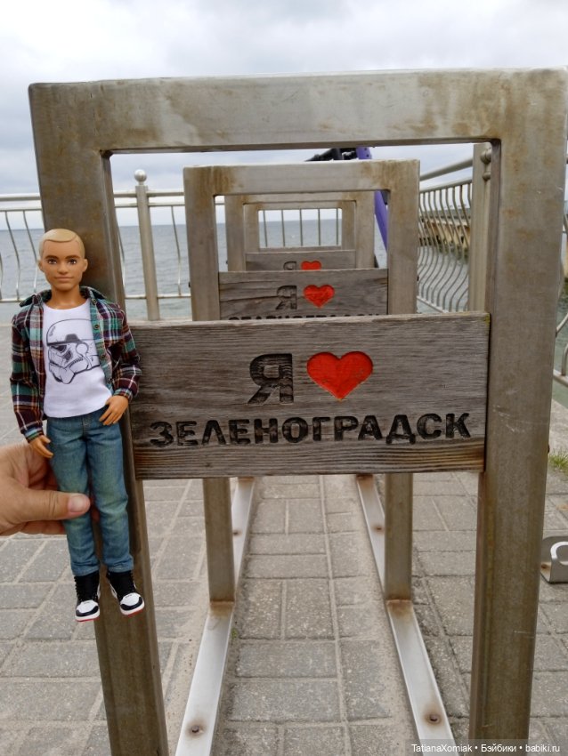 Зеленоградские коты — Туризм и путешествия: фотоотчеты из поездок