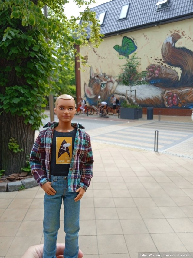 Зеленоградские коты — Туризм и путешествия: фотоотчеты из поездок