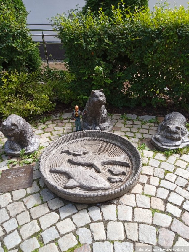 Зеленоградские коты — Туризм и путешествия: фотоотчеты из поездок