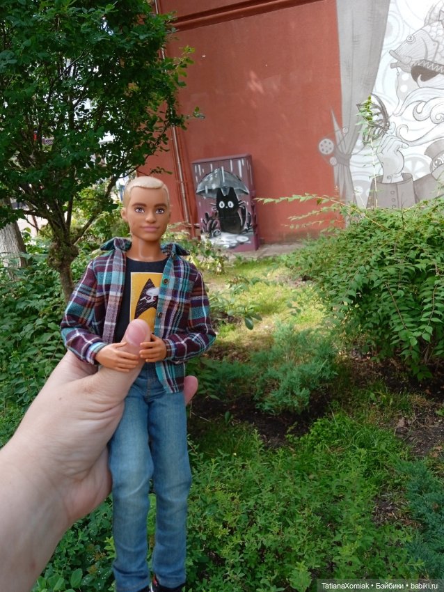 Зеленоградские коты — Туризм и путешествия: фотоотчеты из поездок