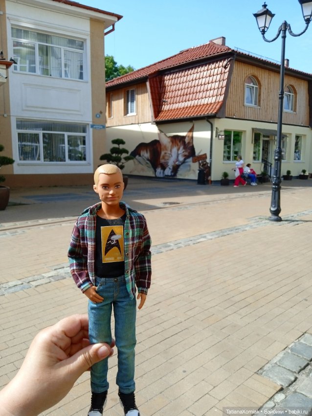 Зеленоградские коты — Туризм и путешествия: фотоотчеты из поездок