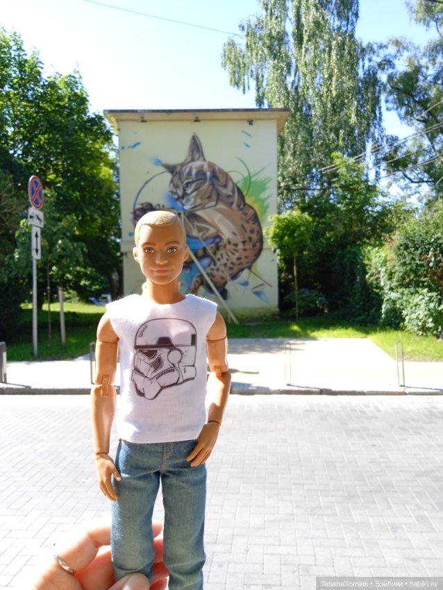 Зеленоградские коты — Туризм и путешествия: фотоотчеты из поездок