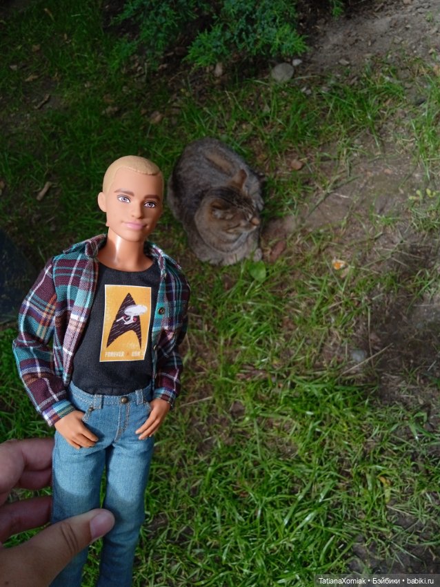 Зеленоградские коты — Туризм и путешествия: фотоотчеты из поездок