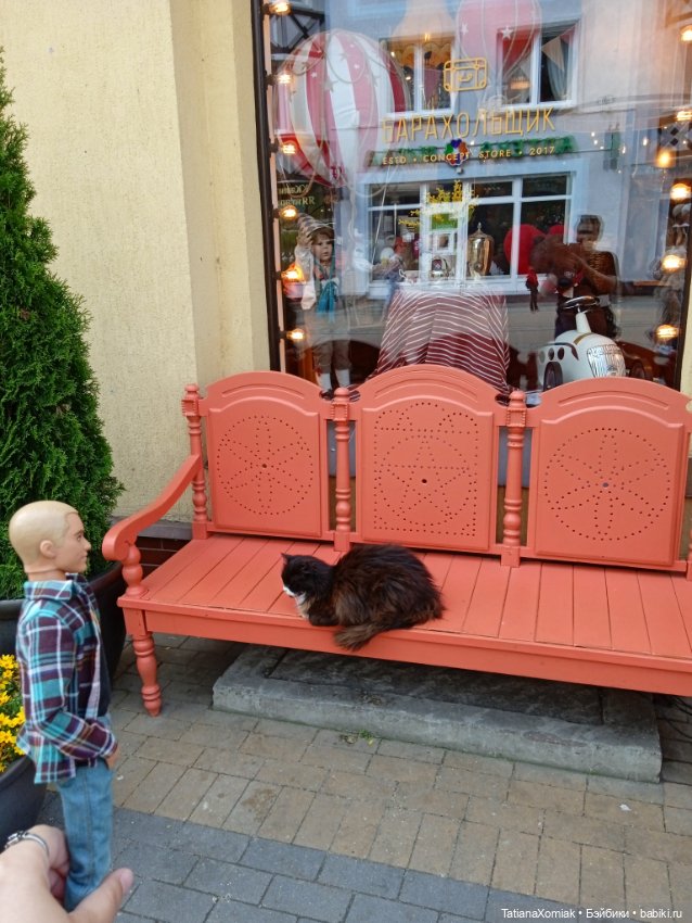 Зеленоградские коты — Туризм и путешествия: фотоотчеты из поездок