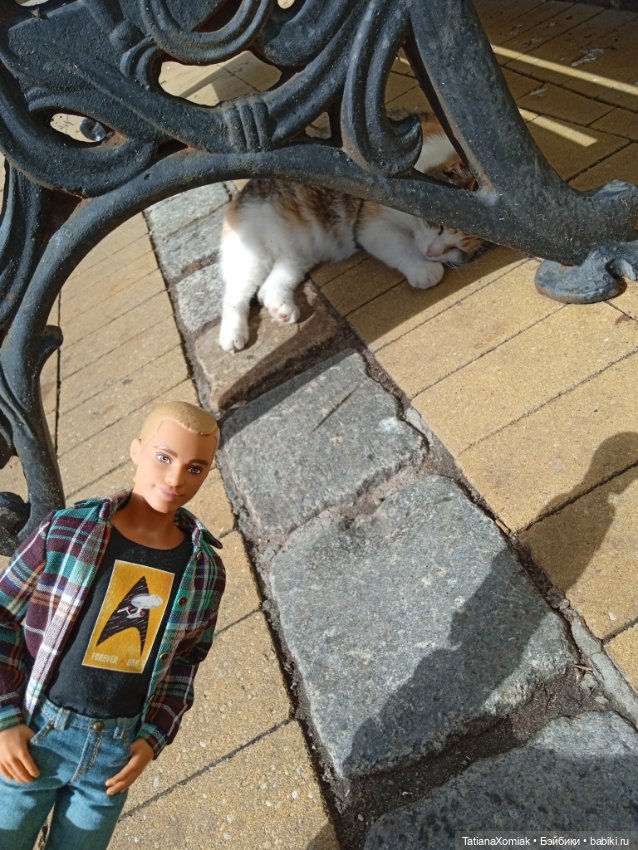 Зеленоградские коты — Туризм и путешествия: фотоотчеты из поездок (фото 6)