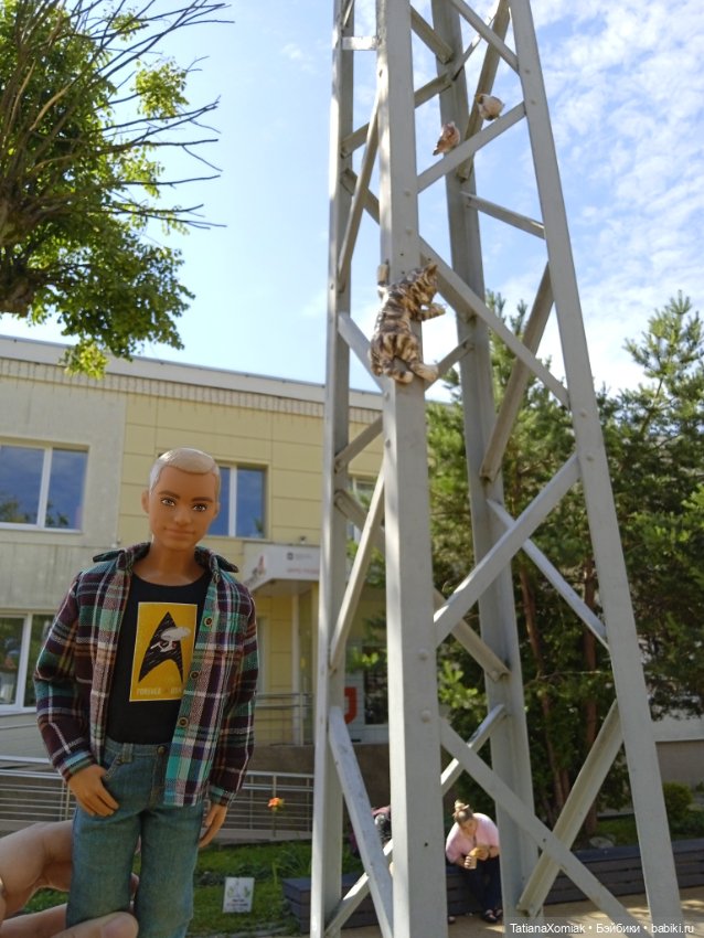 Зеленоградские коты — Туризм и путешествия: фотоотчеты из поездок (фото 3)