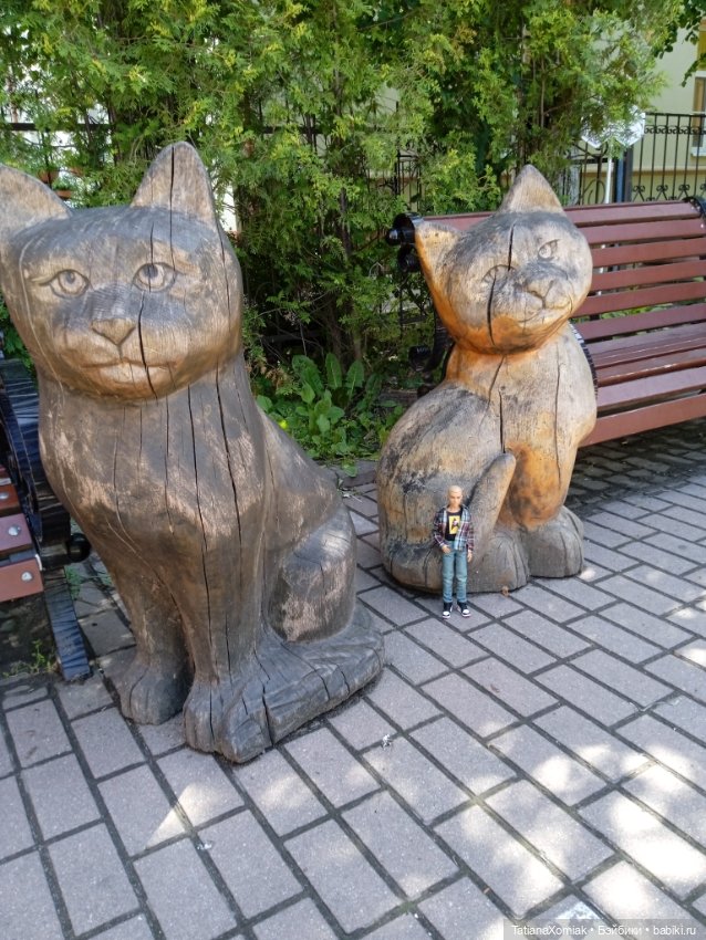 Зеленоградские коты — Туризм и путешествия: фотоотчеты из поездок