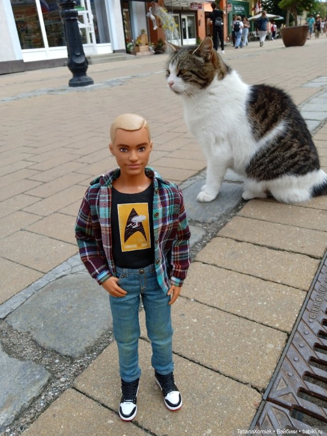 Зеленоградские коты — Туризм и путешествия: фотоотчеты из поездок