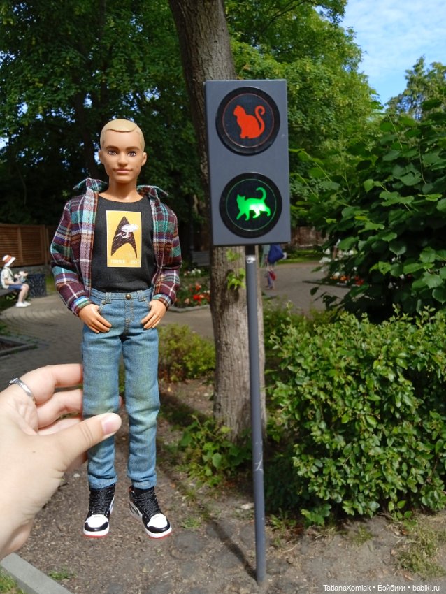 Зеленоградские коты — Туризм и путешествия: фотоотчеты из поездок