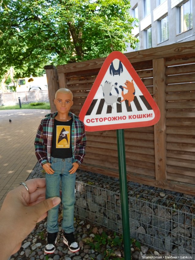 Зеленоградские коты — Туризм и путешествия: фотоотчеты из поездок (фото 5)