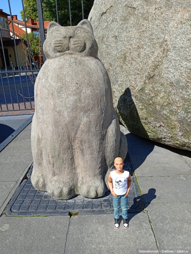 Зеленоградские коты — Туризм и путешествия: фотоотчеты из поездок