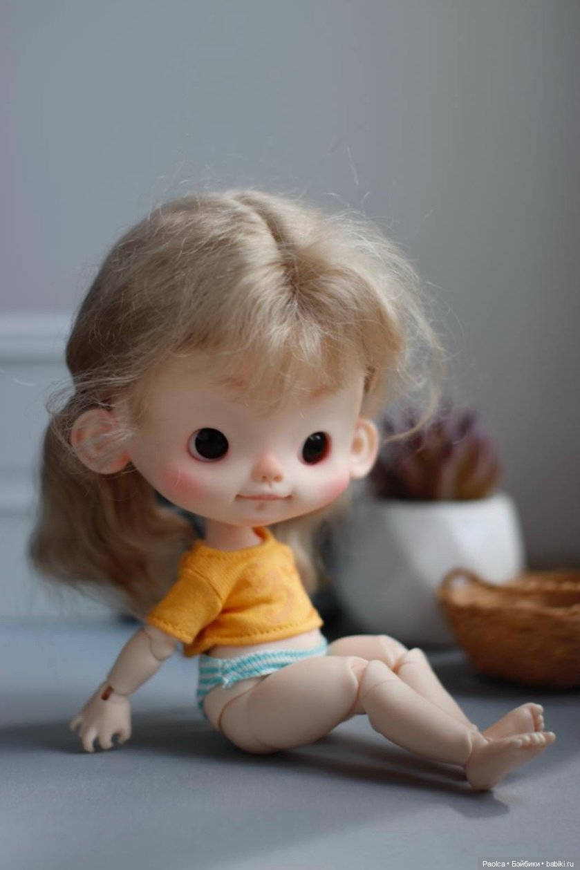 Jacoosun 3-years old-XIXI (фото 6)