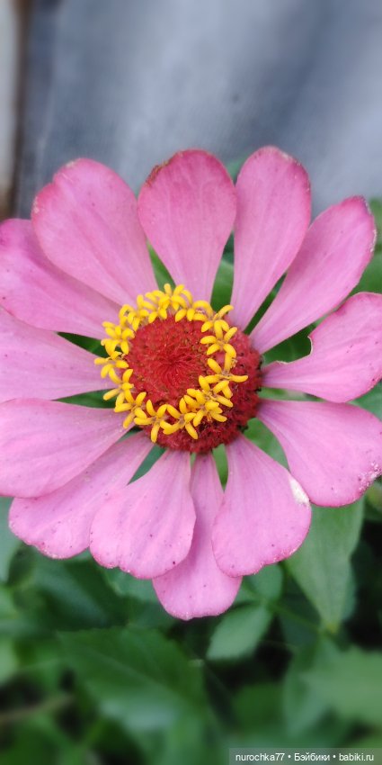 Про Нафочку. Озорница — Гибриды шарнирных кукол (не БЖД): подбор тела (фото 4)