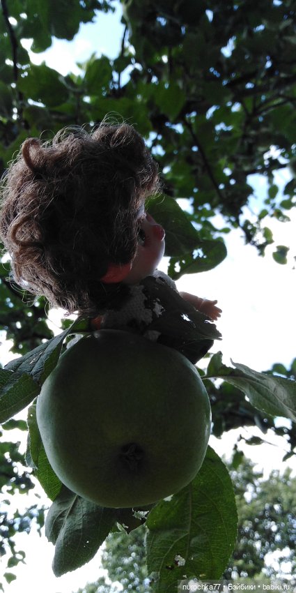 Про Нафочку. Озорница — Гибриды шарнирных кукол (не БЖД): подбор тела (фото 3)