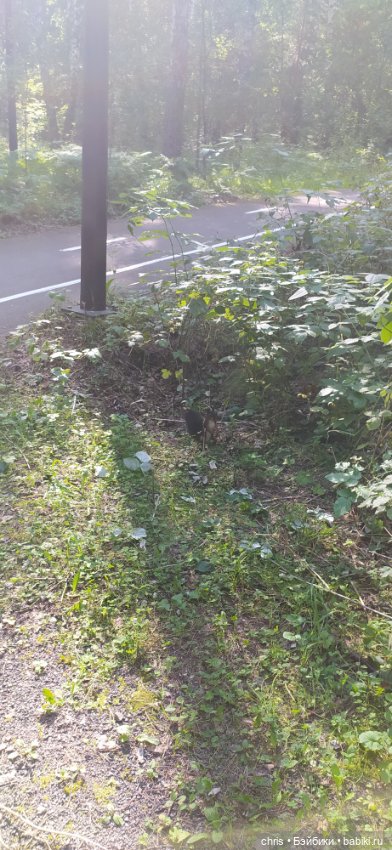 Хайкинг с куклами — Туризм и путешествия: фотоотчеты из поездок (фото 2)