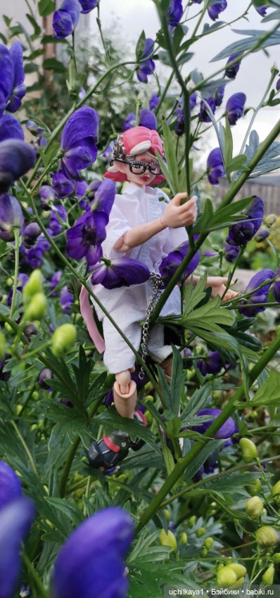 Кибербарышня Хани — Коллекционные экшн