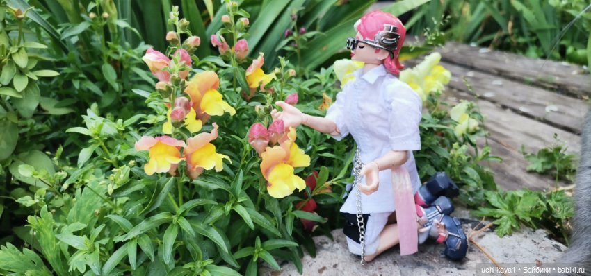 Кибербарышня Хани — Коллекционные экшн