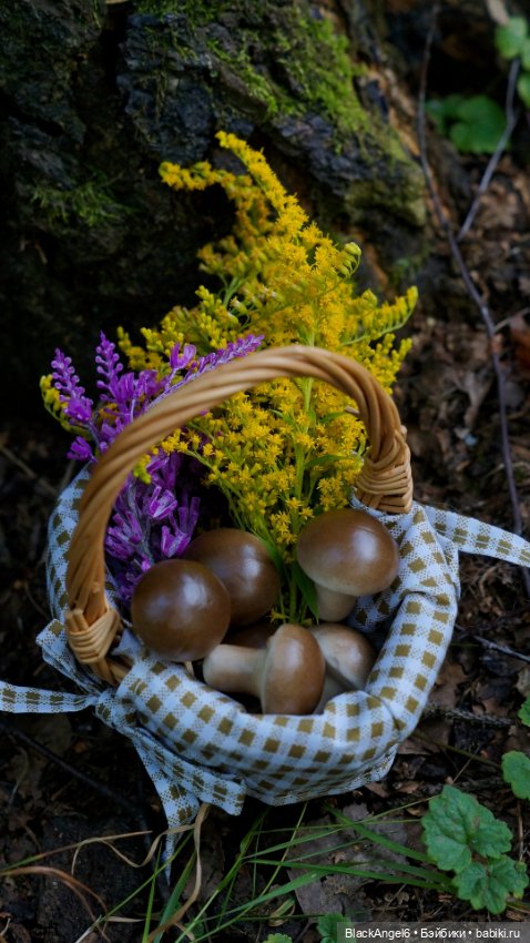 Травы собираешь, сушишь их и варишь (фото 7)
