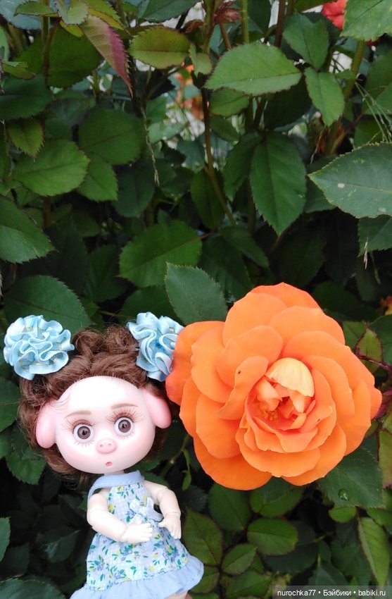 Про Нафочку. Вальс цветов (фото 9)