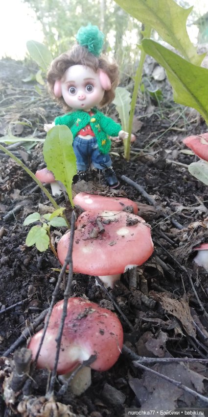 Про Нафочку. Путешествия начинаются (фото 5)