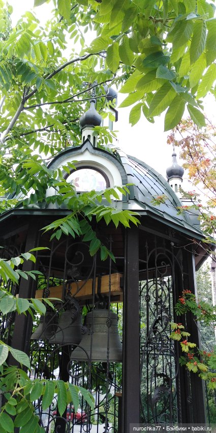 Про Нафочку. Путешествия начинаются