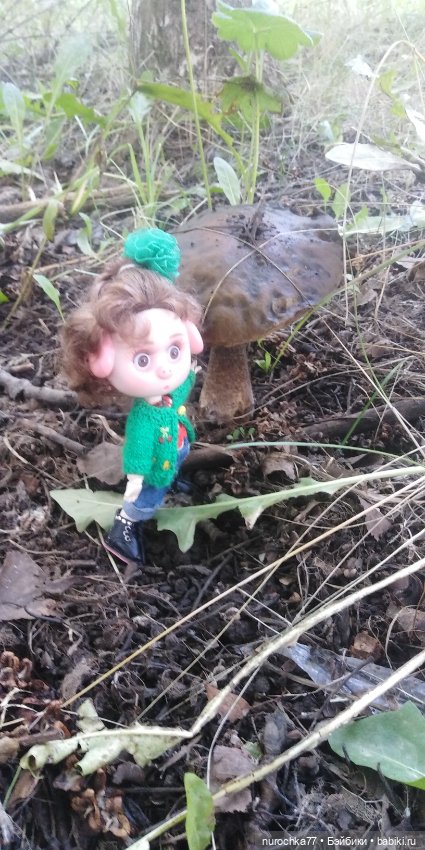 Про Нафочку. Путешествия начинаются (фото 4)