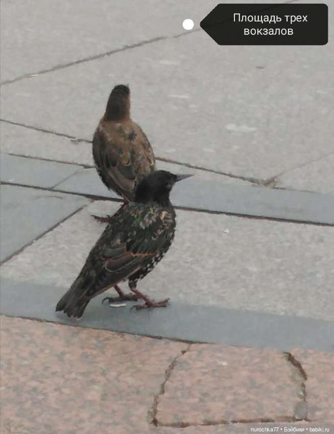 Про Нафочку. Путешествия начинаются (фото 2)