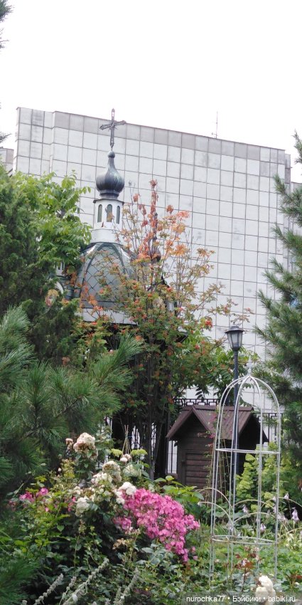 Про Нафочку. Путешествия начинаются