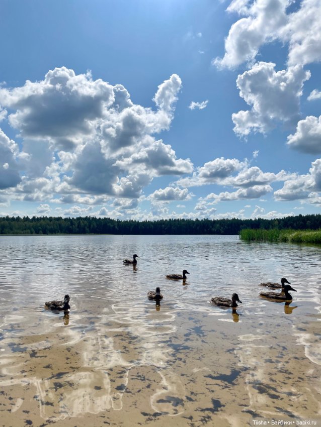 Еще один прекрасный летний день с Лорой