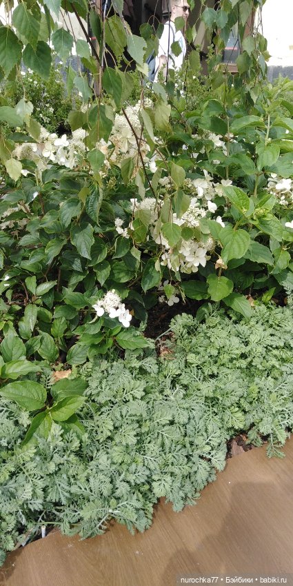 Про Нафочку. Путешествия начинаются (фото 3)