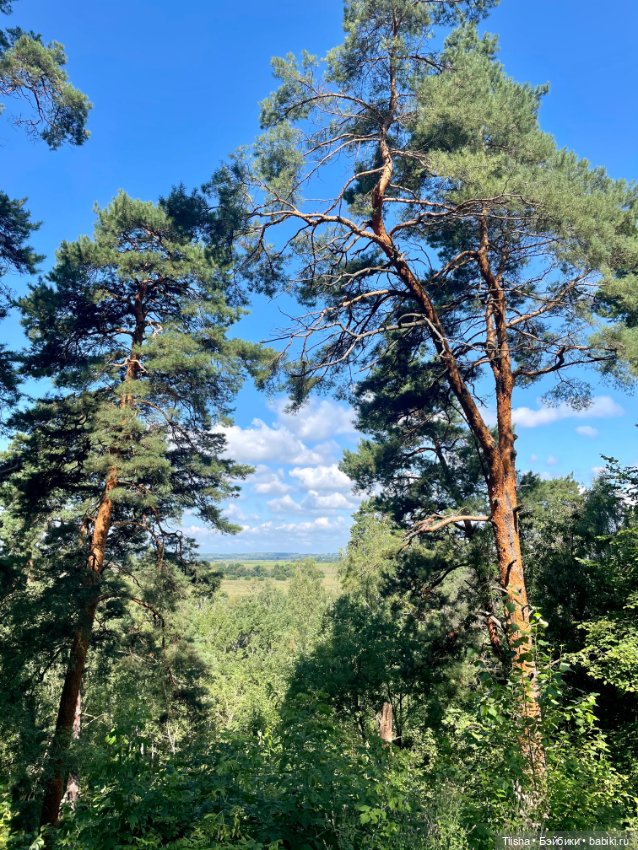 Еще один прекрасный летний день с Лорой (фото 6)