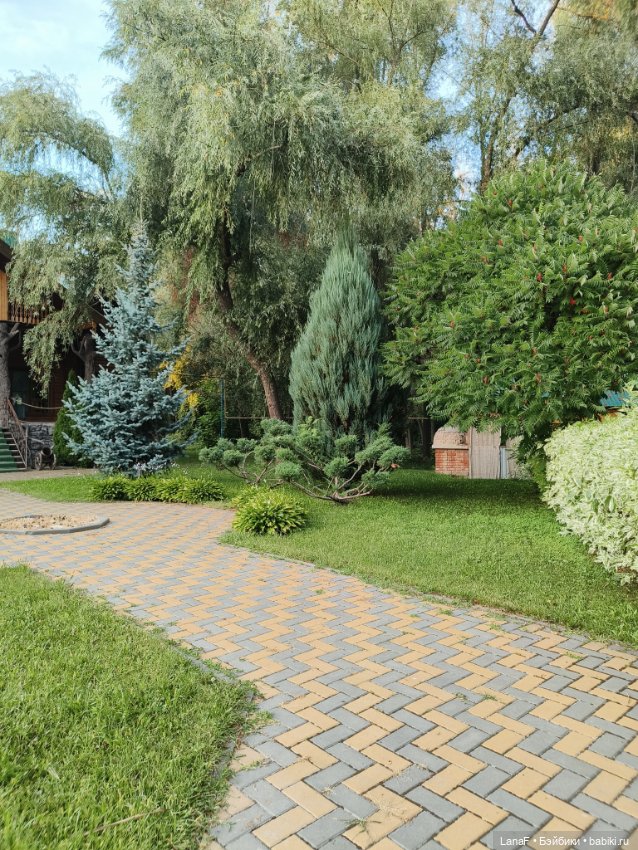 Загородная поездка. Продолжение. (Куклы Габриэль Мюллер Gabriele Muller