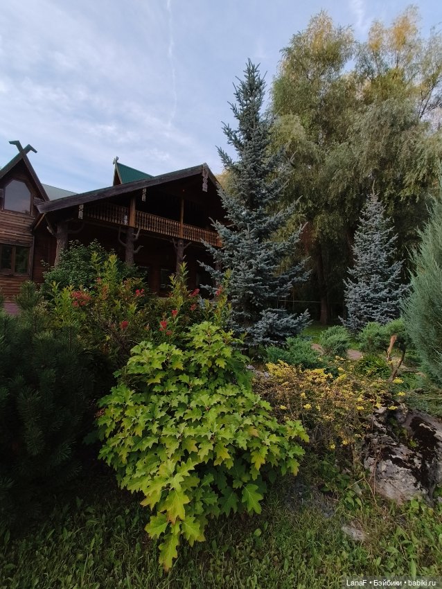 Загородная поездка. Продолжение. (Куклы Габриэль Мюллер Gabriele Muller (фото 5)