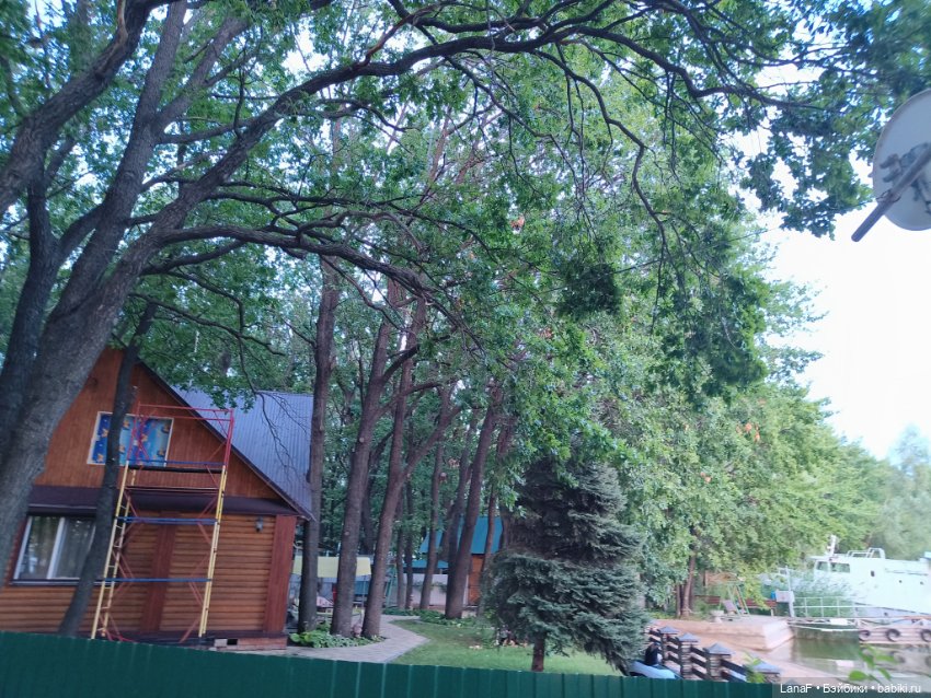 Загородная поездка. Продолжение. (Куклы Габриэль Мюллер Gabriele Muller