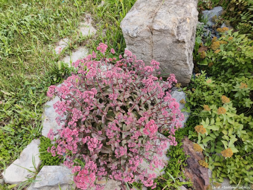 Девочки отдыхают за городом (Vestida de Azul, Китай)l (фото 6)