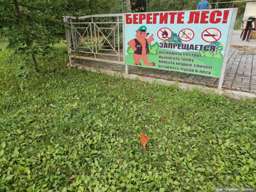 Загородная поездка. Продолжение. (Куклы Габриэль Мюллер Gabriele Muller