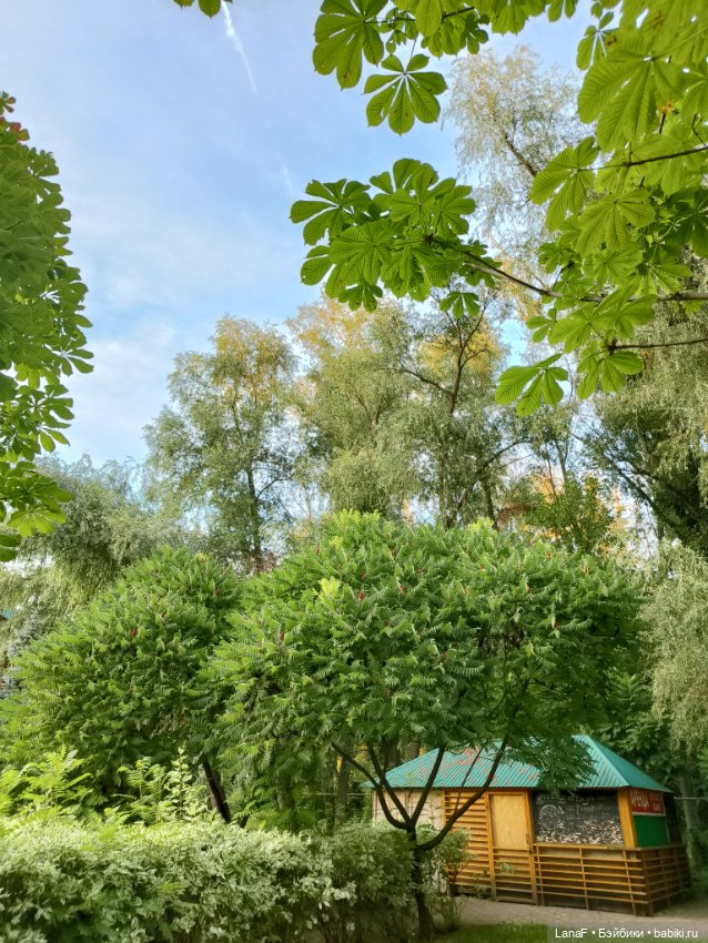 Загородная поездка. Продолжение. (Куклы Габриэль Мюллер Gabriele Muller