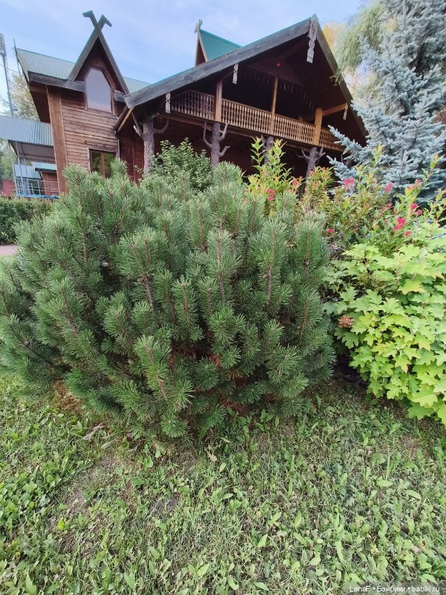 Девочки отдыхают за городом (Vestida de Azul, Китай)l (фото 5)