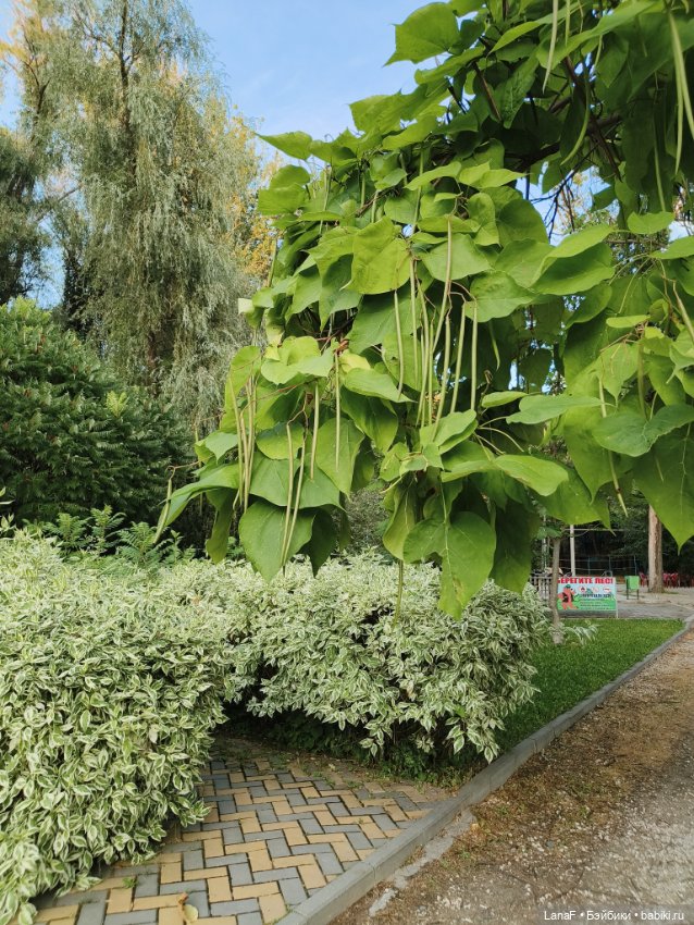 Загородная поездка. Продолжение. (Куклы Габриэль Мюллер Gabriele Muller