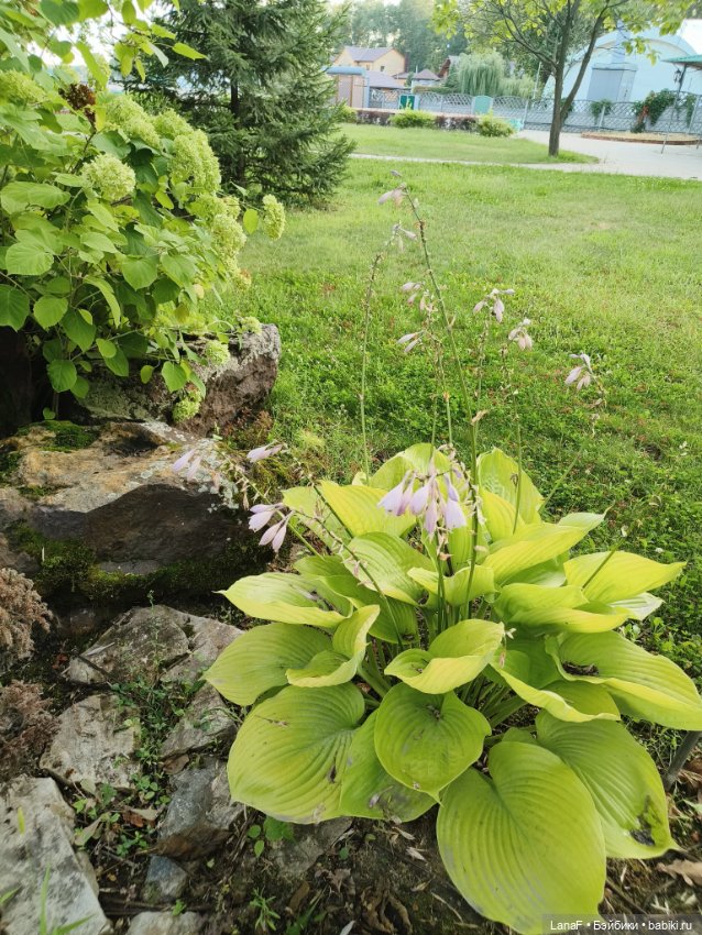 Загородная поездка. Продолжение. (Куклы Габриэль Мюллер Gabriele Muller