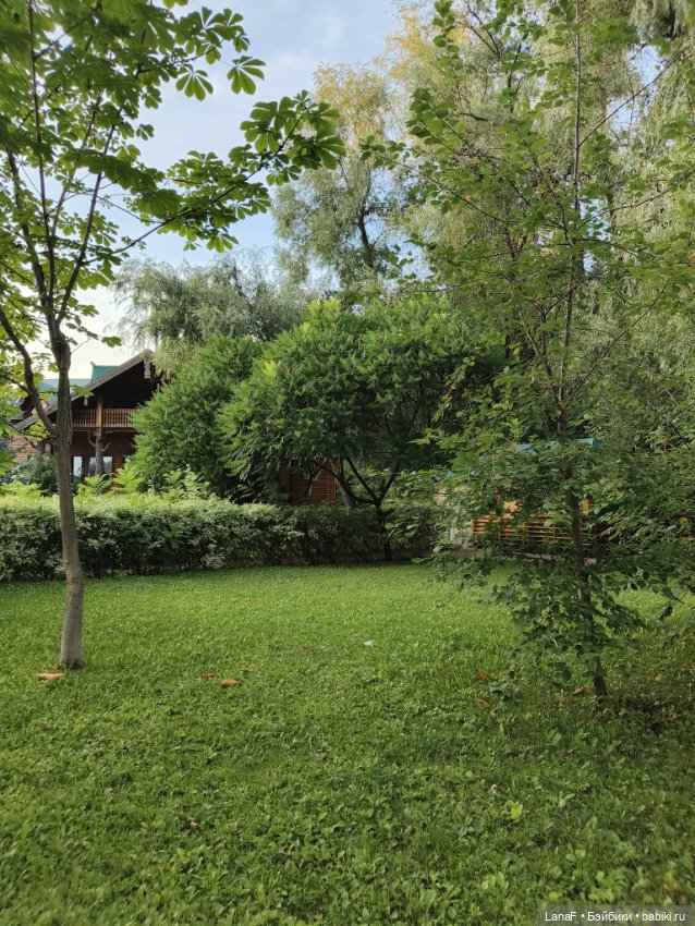 Загородная поездка. Продолжение. (Куклы Габриэль Мюллер Gabriele Muller