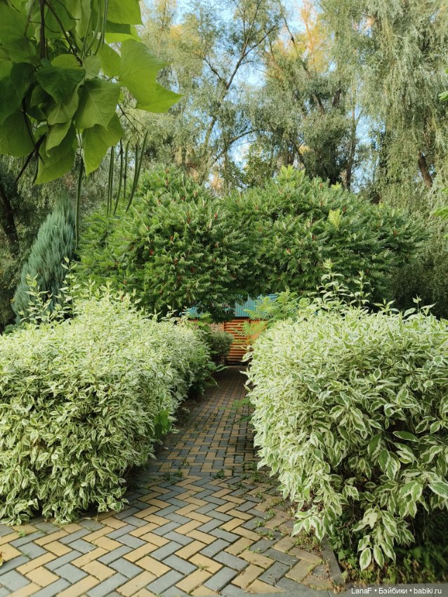 Загородная поездка. Продолжение. (Куклы Габриэль Мюллер Gabriele Muller