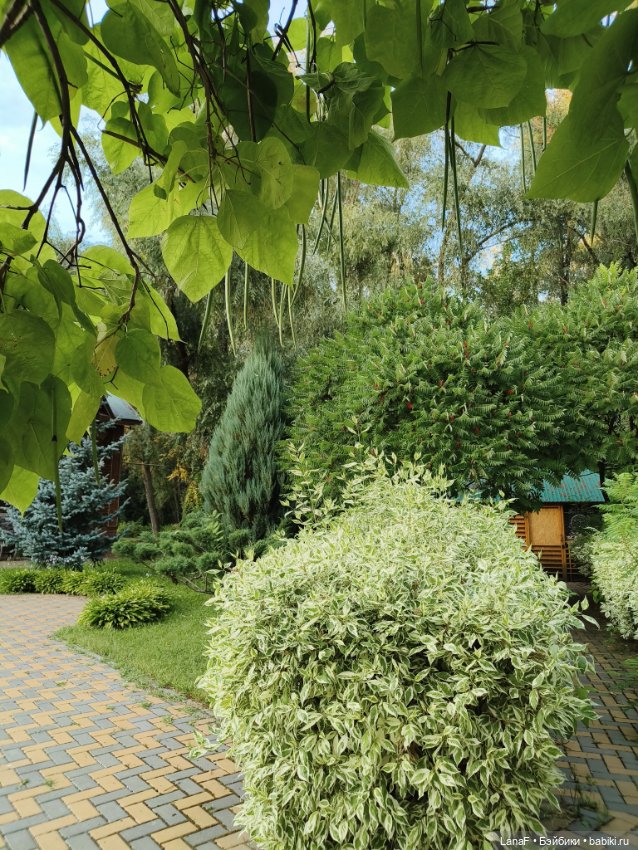 Загородная поездка. Продолжение. (Куклы Габриэль Мюллер Gabriele Muller