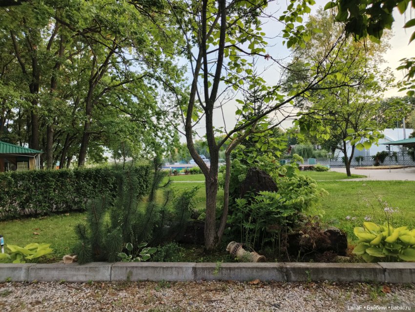 Загородная поездка. Продолжение. (Куклы Габриэль Мюллер Gabriele Muller