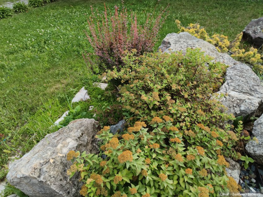 Загородная поездка. Продолжение. (Куклы Габриэль Мюллер Gabriele Muller (фото 8)