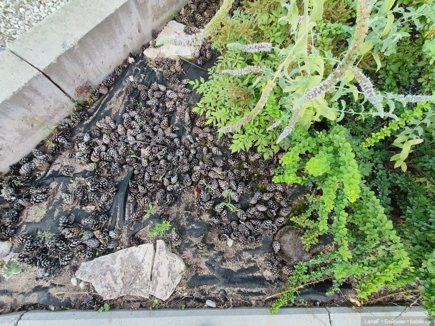 Загородная поездка. Продолжение. (Куклы Габриэль Мюллер Gabriele Muller (фото 3)